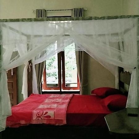 Raja Guest House - Jungle Trekking & Tours Bukit Lawang Sumatra Eksteriør billede